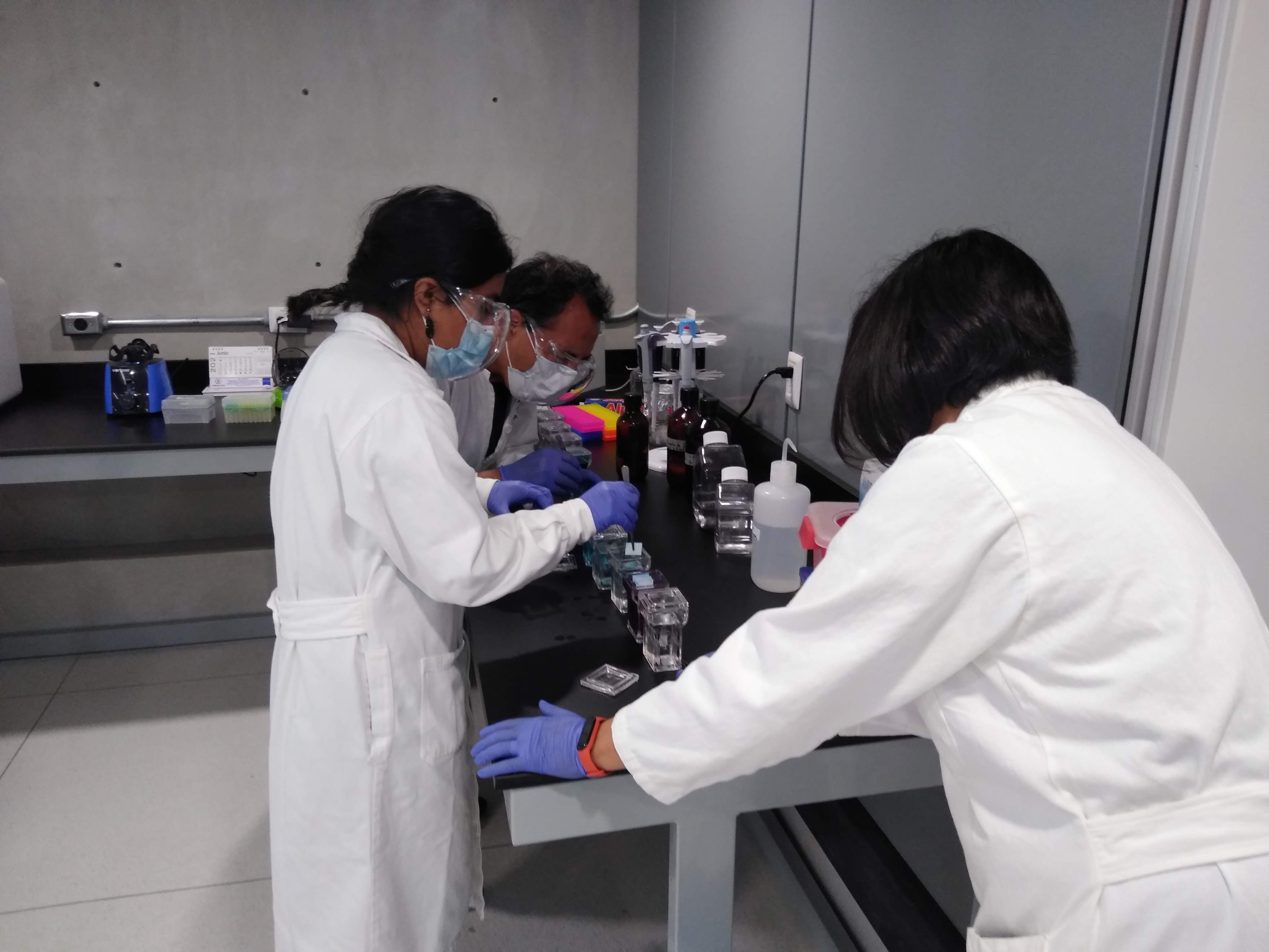 Curso-taller 2021