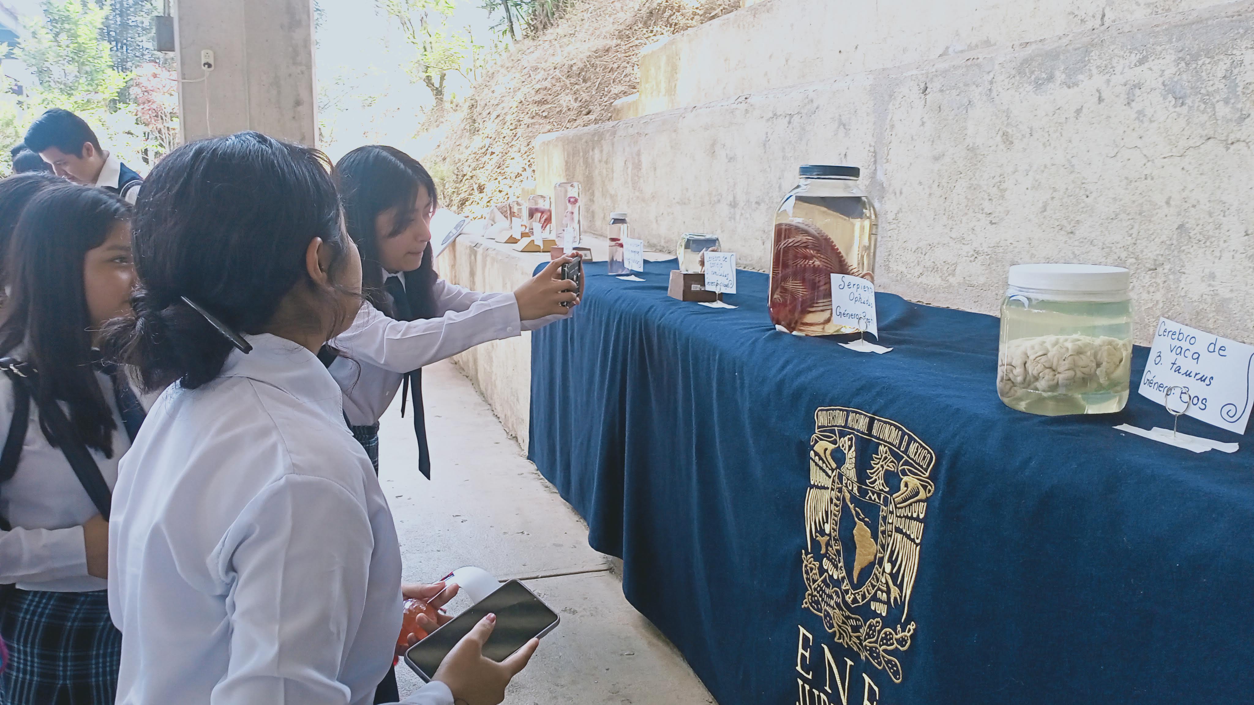 Feria de Neurociencias 2023