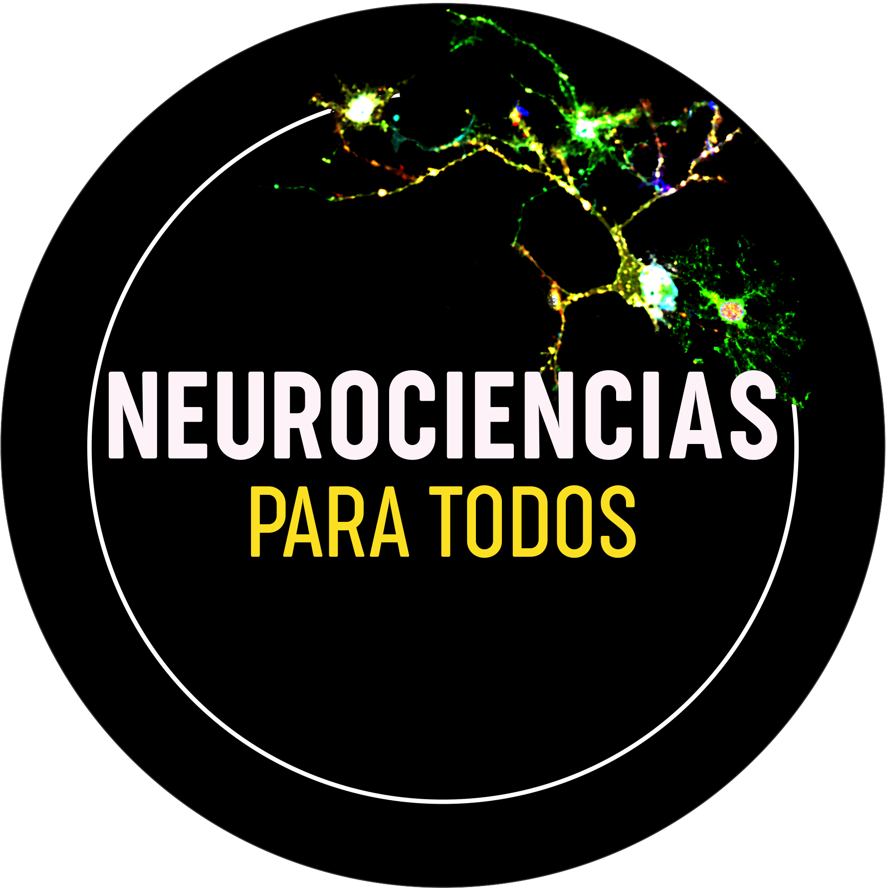 Logo Neurociencias para todos